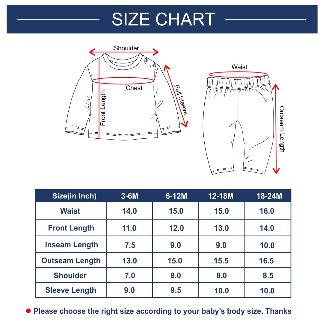 Blissful Garden Full Sleeves Designer Clothing Set for Baby Girl